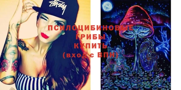 крисы Рославль