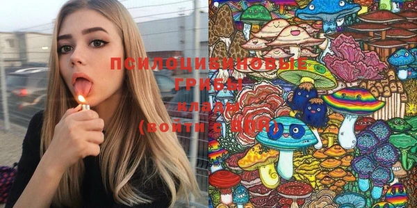 крисы Рославль