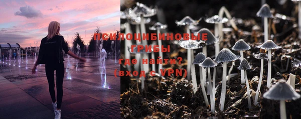 крисы Рославль